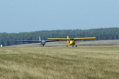 Grassy Europe